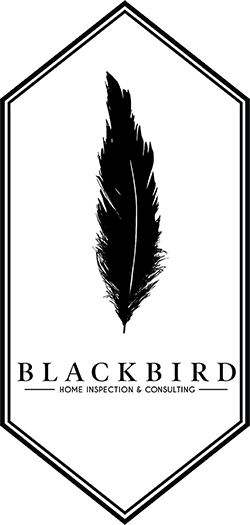 Blackbird Home Inspection & Consulting LLC